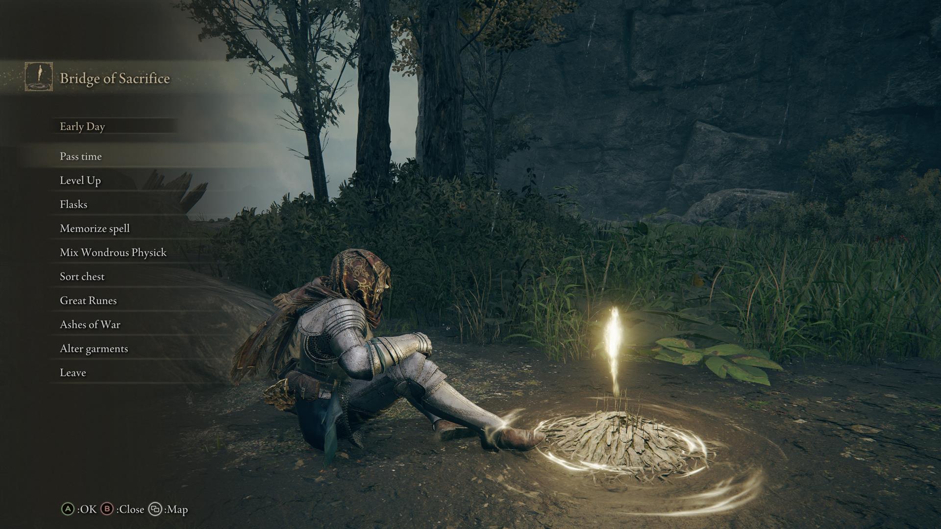 Elden Ring Can you pause? How do you save? How do you level up? and